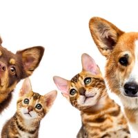 Design-sem-nome-2023-06-01T110814.395